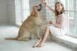 © nuzza11 - Child with a dog. A girl with labradors at home.