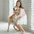 © nuzza11 - Child with a dog. A girl with labradors at home.