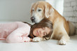 © nuzza11 - Child with a dog. A girl with labradors at home.