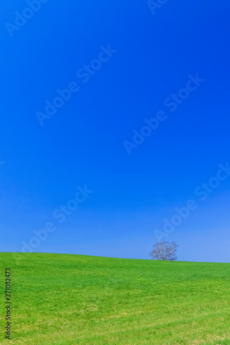 青空と草原背景イメージ北海道美瑛stock Photo Adobe Stock 青空と草原背景イメージ北海道美瑛stock Photo Adobe Stock