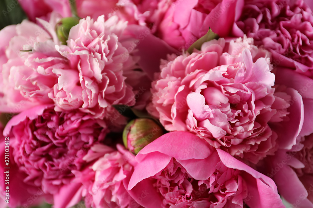 Fragrant peonies as background, closeup view. Beautiful spring flowers - obrazy, fototapety, plakaty 