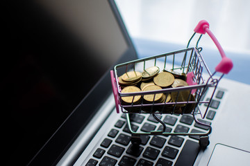 shopping cart and money coin on computer, shopping online concept. subject is blurred and low key.