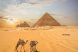 Desert scenery of the Pyramids in Giza, Egypt