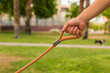 human hand holding leash for domestic pets, unfocused green park outdoor natural background, animal shelter concept photography with empty space for copy or text