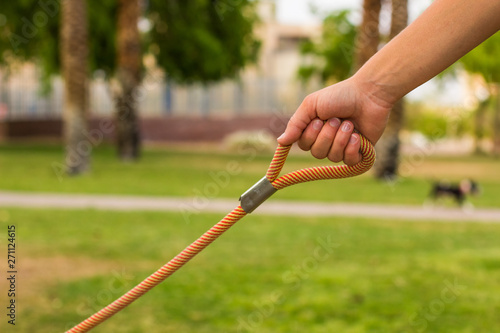 hand holding leash