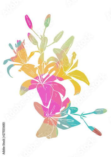 pretty flowers.  lily flowers. vector in color. Lilies. Flower background