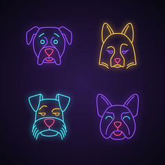 Sticker - Dogs cute kawaii neon light characters