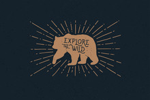 Hand Drawn Bear With An Inscription Explore The Wild Nature In The Rays Of Light. Vintage Label On The Theme Of The Study Of Wildlife. Monochrome Style. Vector Illustration On Dark Background.