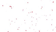 A Red Balloon Appears On The White Background Below And Explodes. Confetti Fly Away. Alpha Channel