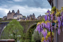 Blooming Purple Wisteria In Old Town Of Uzerche, France