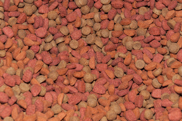 texture, pet food (dog care)