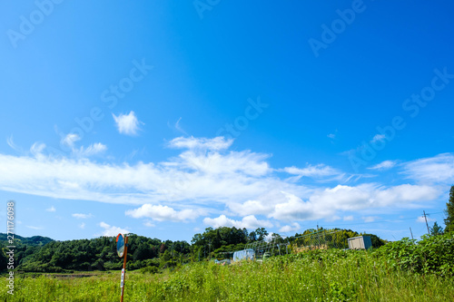 写真素材 青空 空 雲 初夏の空 背景 背景素材 6月 コピースペース Stock Photo Adobe Stock 写真素材 青空 空 雲 初夏の空 背景 背景素材 6月 コピースペース Stock Photo Adobe Stock