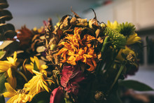 A Bouquet Of Dying Dried Up Flowers In A Vase