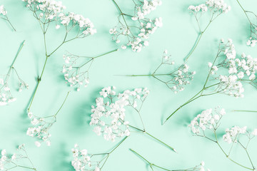 Wall Mural - Flowers composition. Gypsophila flowers on mint green background. Flat lay, top view