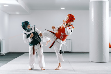 Wall Mural - Sporty Caucasian boys having taekwondo training in white gym. One boy kicking other.