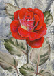 Designer oil painting. Decoration for the interior. Modern abstract art on canvas. Red rose.