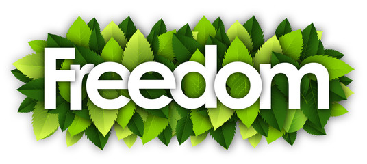 Freedom word and green leaves background Natural