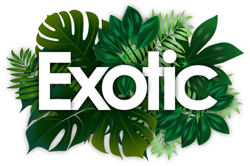 Wall Mural - Exotic word and green tropical’s leaves background