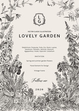 Lovely Garden. Vector Invitation. Vintage Frame. Spring And Summer Garden Flowers. Black And White