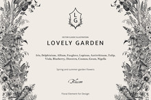 Lovely Garden. Vector Horizontal Card. Vintage Floral Elements. Spring And Summer Garden Flowers. Black And White