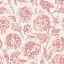 Seamless Pattern. Classic Peonies. Vector Botanical Illustration. Coral Color