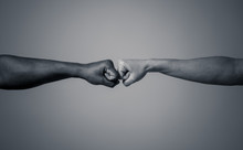 Fist Of Different Skin Colors Giving Fist Bump. Conceptual Image Of Race Tolerance And Stop Racism