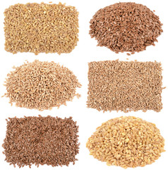 Poster - seeds a white background