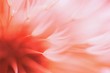 © Tunatura - Abstract blured dandelion flower in coral color