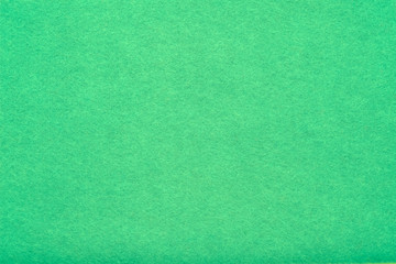 Poster - Green felt texture abstract art background. Colored fabric fibers surface. Empty space.
