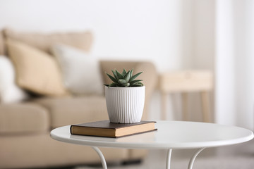 green succulent in pot with book on table in room
