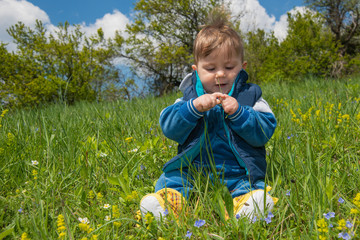 The baby boy sits in the nature and plays with the grass