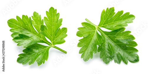 Fotografía Parsley. Parsley isolated. Top view. Full depth of field.