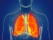 © Sebastian Kaulitzki - 3d rendered medically accurate illustration of a mans lung