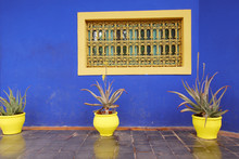 Blue Wall With Window And Three Yellow Flower Pots With Aloe Plants. Marrakesh, Morocco.
