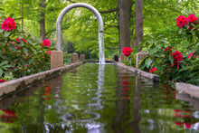 Tranquil Water Feature In A Lush Beautiful Green Woodland Garden With Dense Foliage.