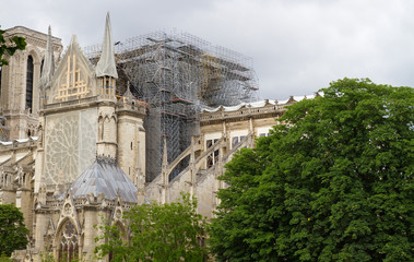 Canvas Print - Kathedrale Notre-Dame de Paris nach dem Brand