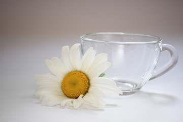 Transparent glass cup with chamomile 2