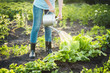 © valya82 - Cultivation of environmentally friendly plants.