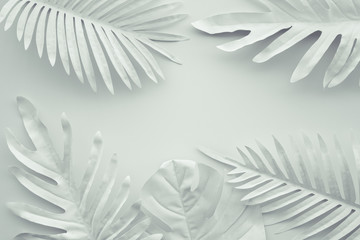 Wall Mural - Collection of tropical leaves,foliage plant in white color with space background.Abstract leaf decoration design.Exotic nature art