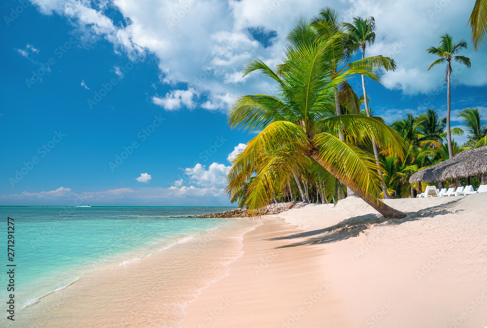 Tropical caribbean island Saona, Dominican Republic. Beautiful beach, palm trees and clear sea. - obrazy, fototapety, plakaty 