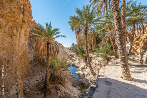 Cuadros en Lienzo Chebika Oasis in Tozeur, Tunisia