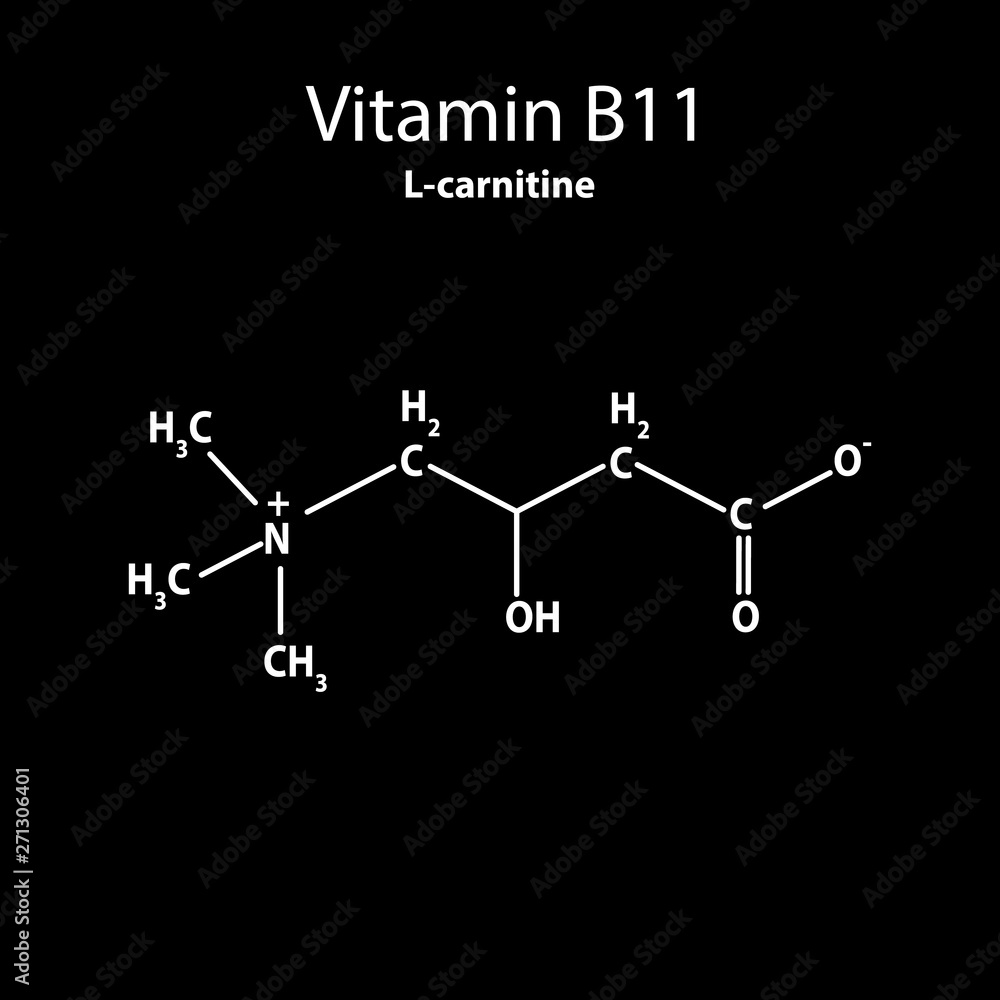 l-carnitine formula Vitamin B11. L-carnitine Molecular chemical formula. Infographics. Vector  illustration on black background. Stock Vector