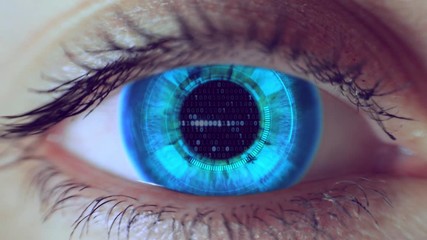 Binary program code in human eye