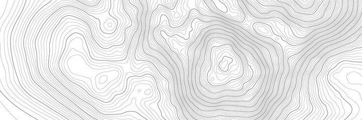 Wall Mural - the stylized height of the topographic contour in lines and contours. the concept of a conditional g