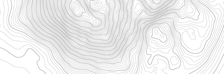 Wall Mural - the stylized height of the topographic contour in lines and contours. the concept of a conditional g