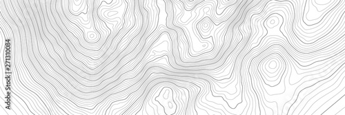 Fotomural The stylized height of the topographic contour in lines and contours