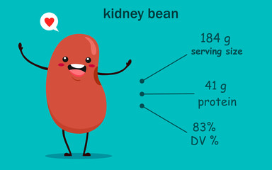 Wall Mural - Beans in cartoon style with a description of proteins in specific grams. Red beans. Vector illustration on a turquoise background