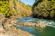 The turquoise water of the Skagit River descending with force