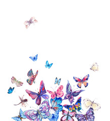 Wall Mural - Watercolor butterflies vintage card, Ultraviolet butterfly