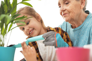 Canvas Print - Little girl and her grandmother taking care of plants indoors